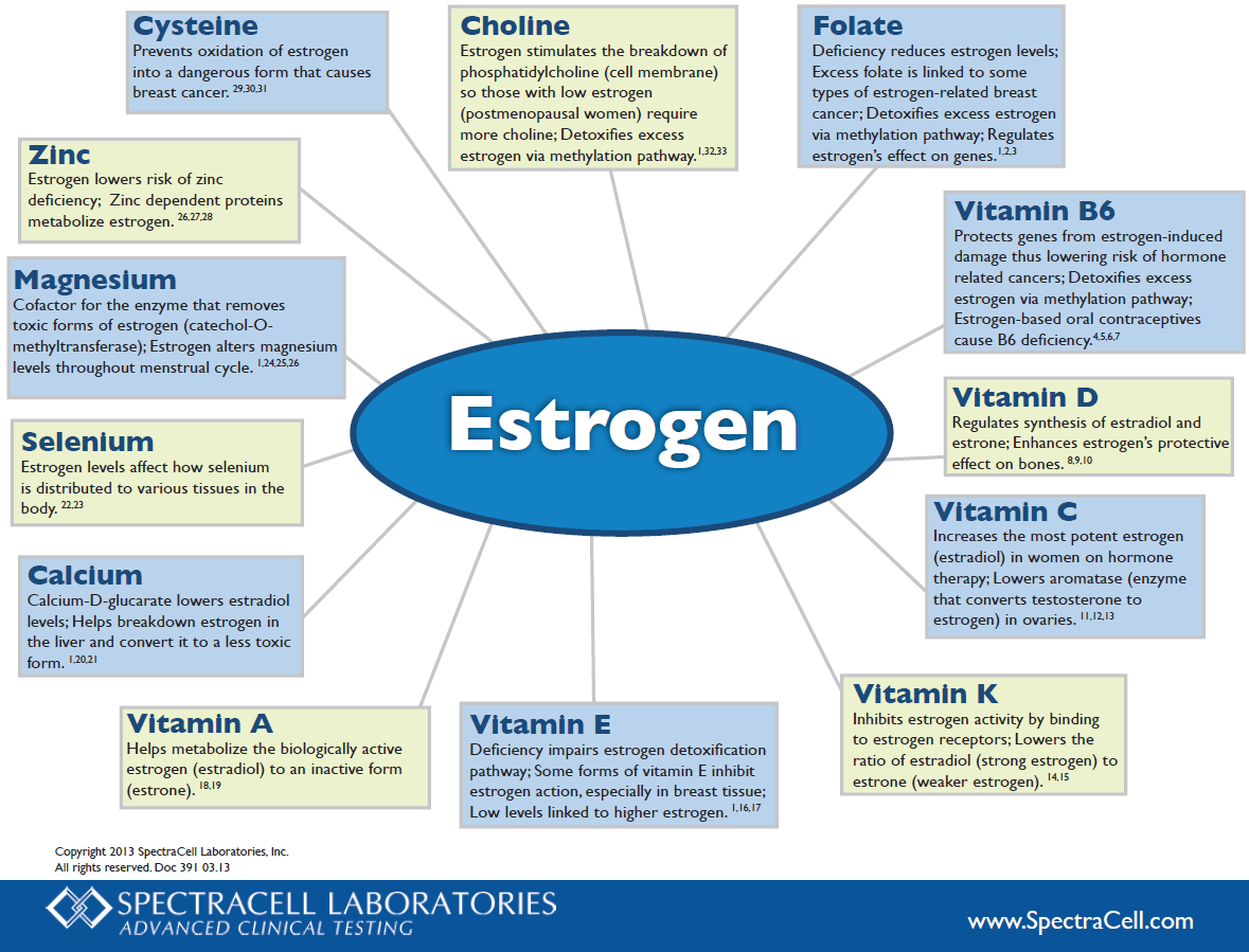 Estrogen In Food Chart