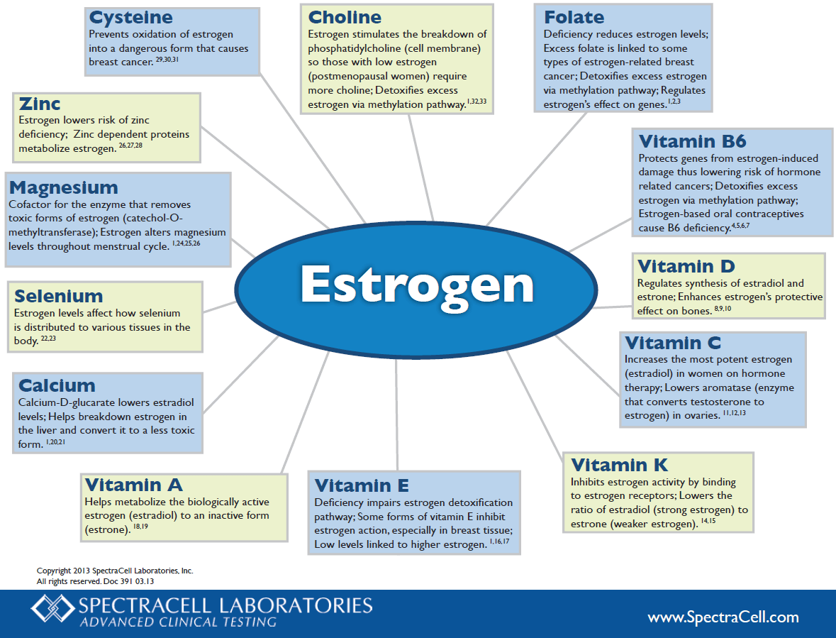 Estrogen Food Chart NBKomputer