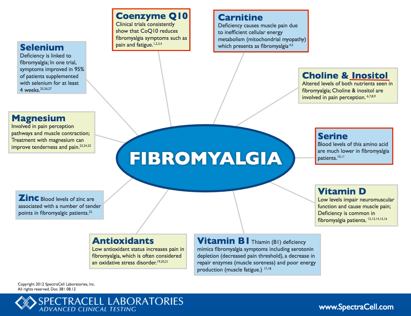 Fibromyalgia Symptoms List Chart